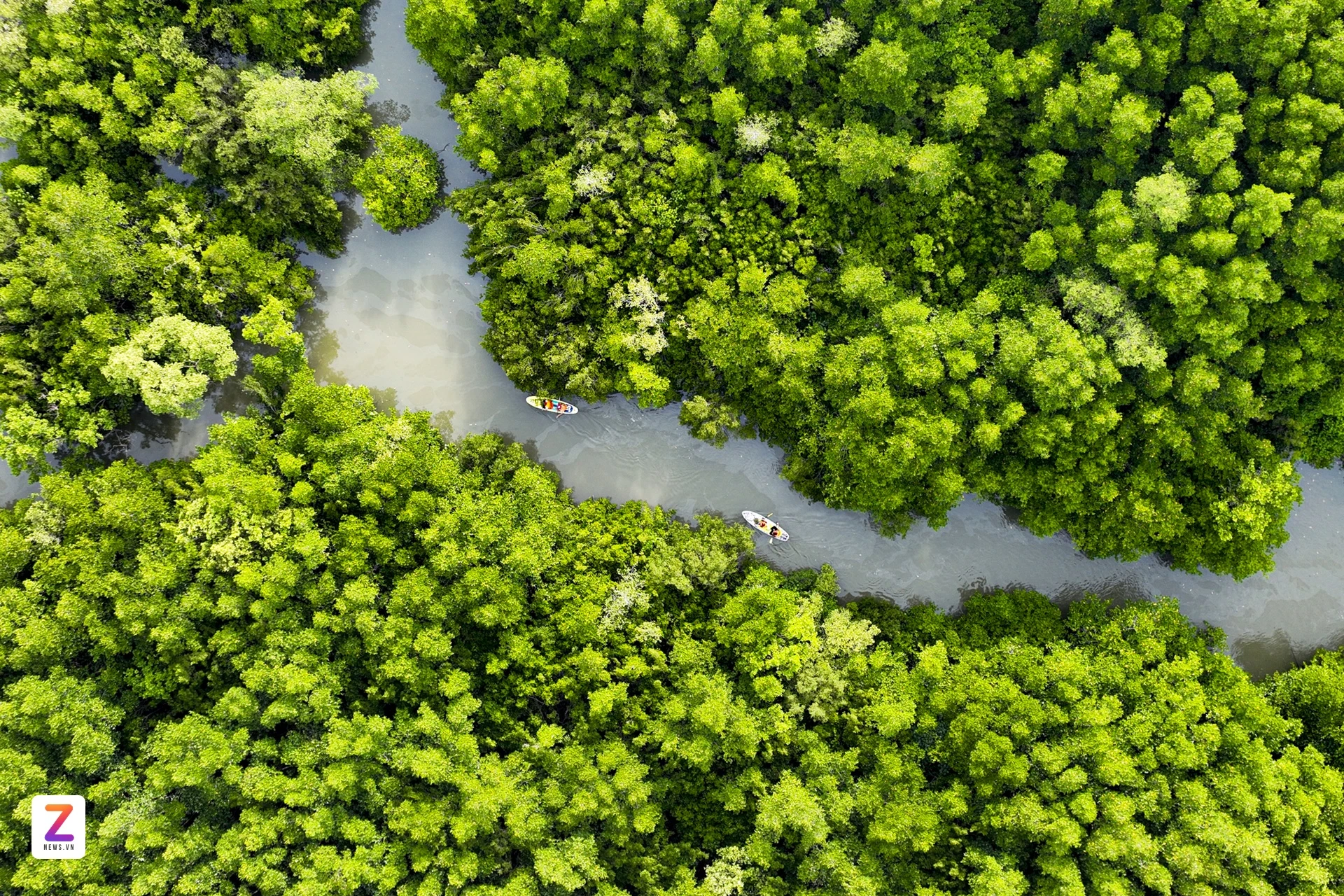 Forest & Ecological Protection