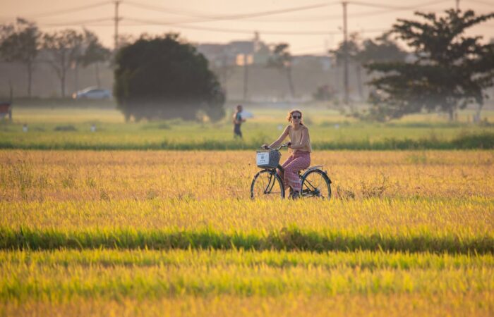 Whispers of Vietnam: A 10‑Day Journey Through Time