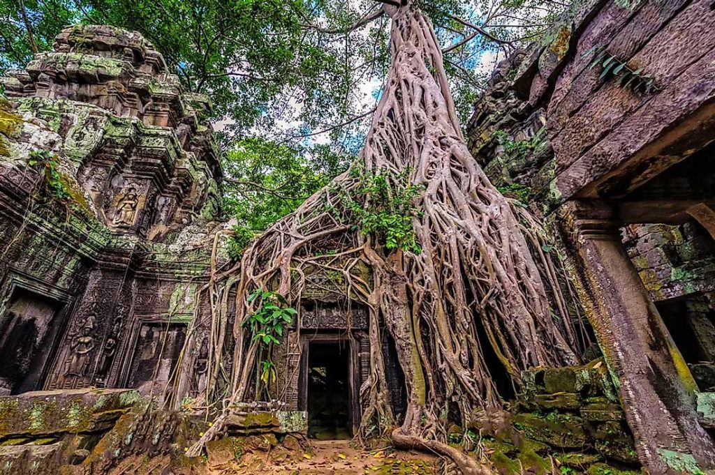 Ta Prohm Temple in Cambodia 121212 1024x681 1