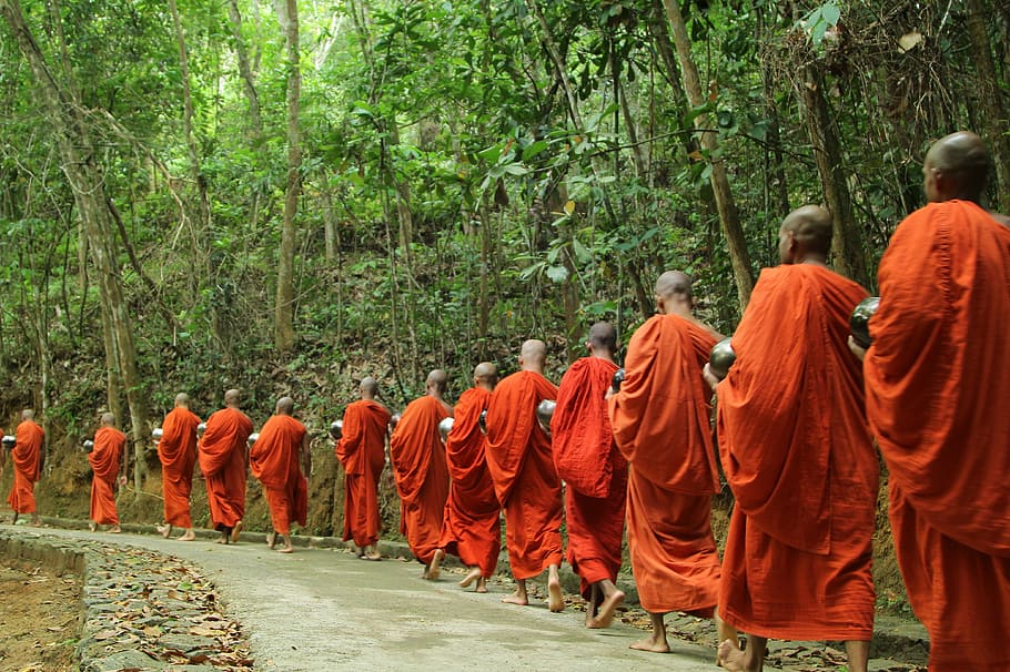 monk buddha religion travel