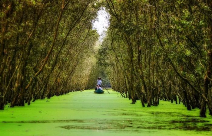 Mekong Delta Scenic Escape