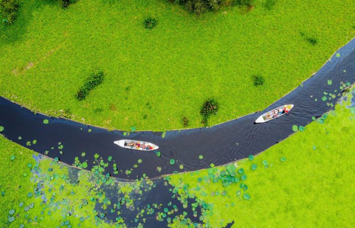 Mekong Delta Scenic Escape