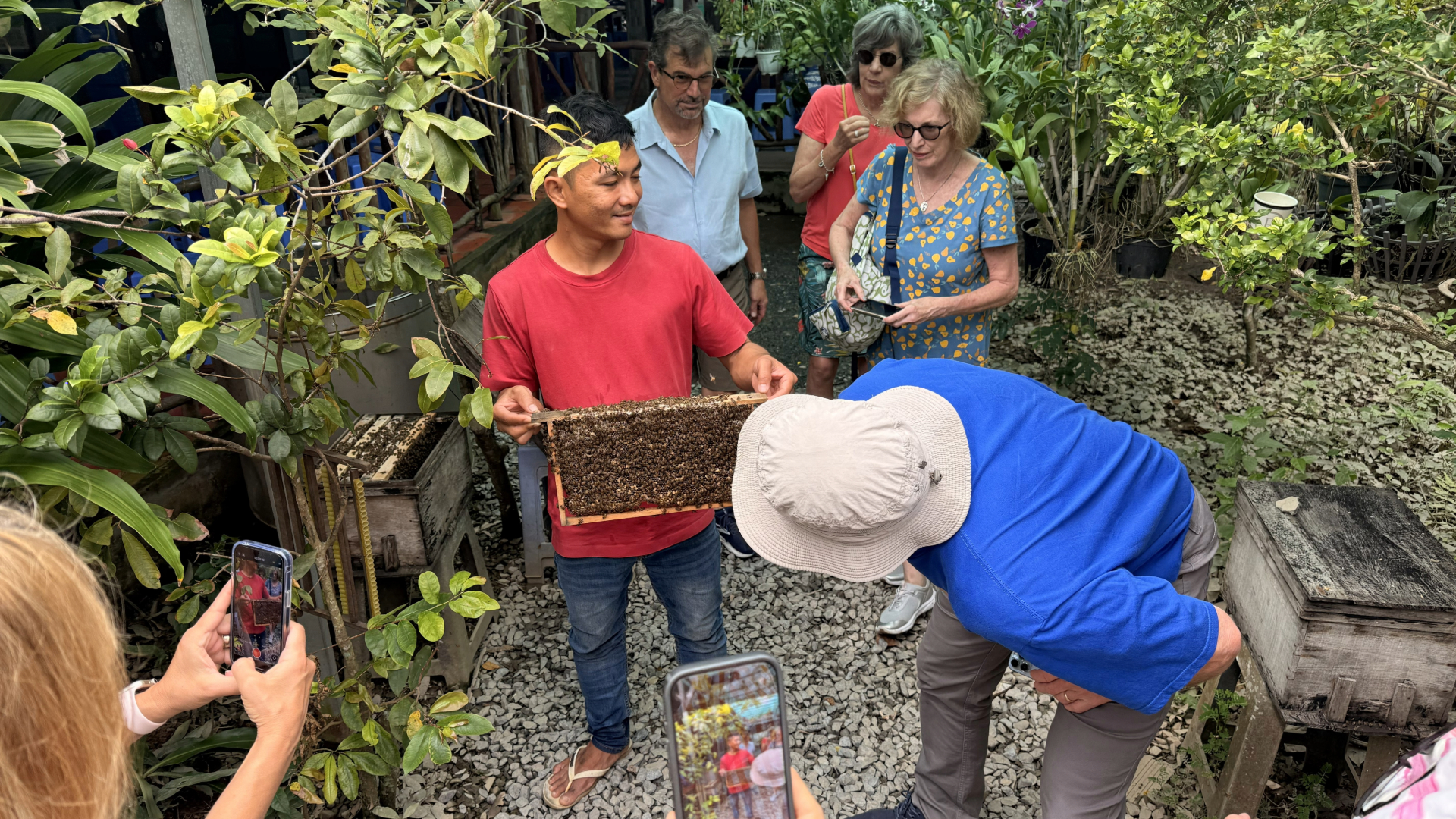 Visiting Bee Farm on Thoi Son island
