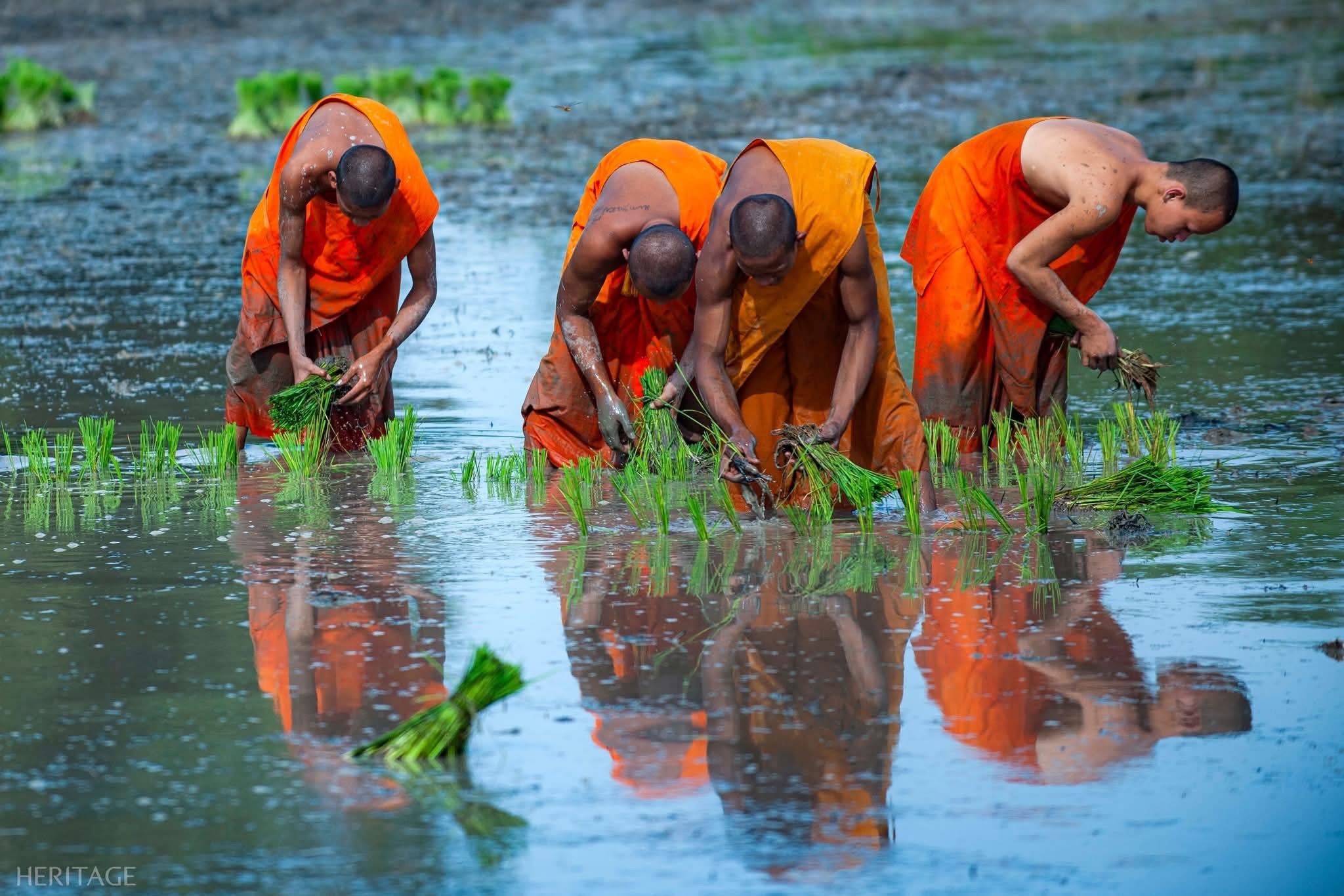 Cambodia Infrastructure & PPP Study