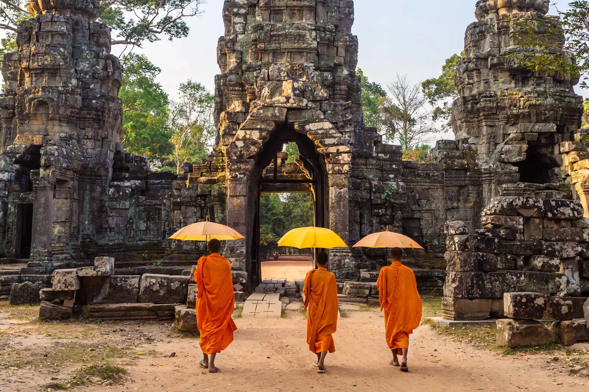 Cambodia Temple Discovery